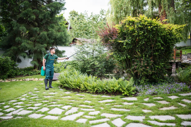 Best Wasp Removal Services  in Westhampton Beach, NY