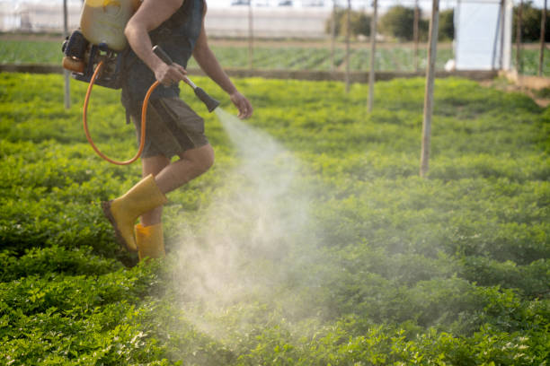 Best Pest Control Near Me in Westhampton Beach, NY
