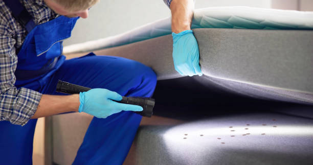 Best Mosquito Control Services  in Westhampton Beach, NY
